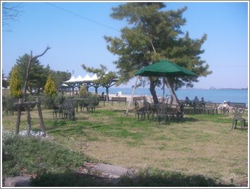 SANY0625.jpg