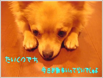 SANY06446111.jpg