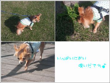 SANY0648111.jpg