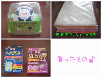 SANY064911111.jpg