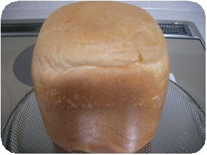 pann.jpg